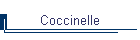 Coccinelle